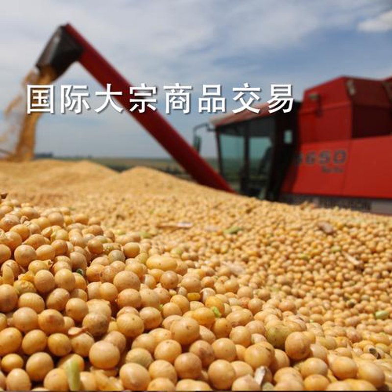 溧阳批发零售选购指南